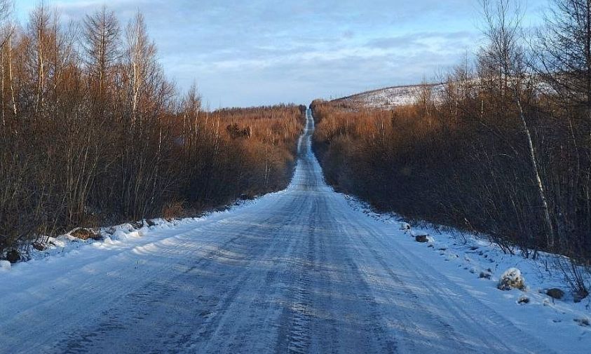 за лося — 80 тысяч рублей: в амурской прокуратуре напомнили водителям об ответственности за сбитых животных
